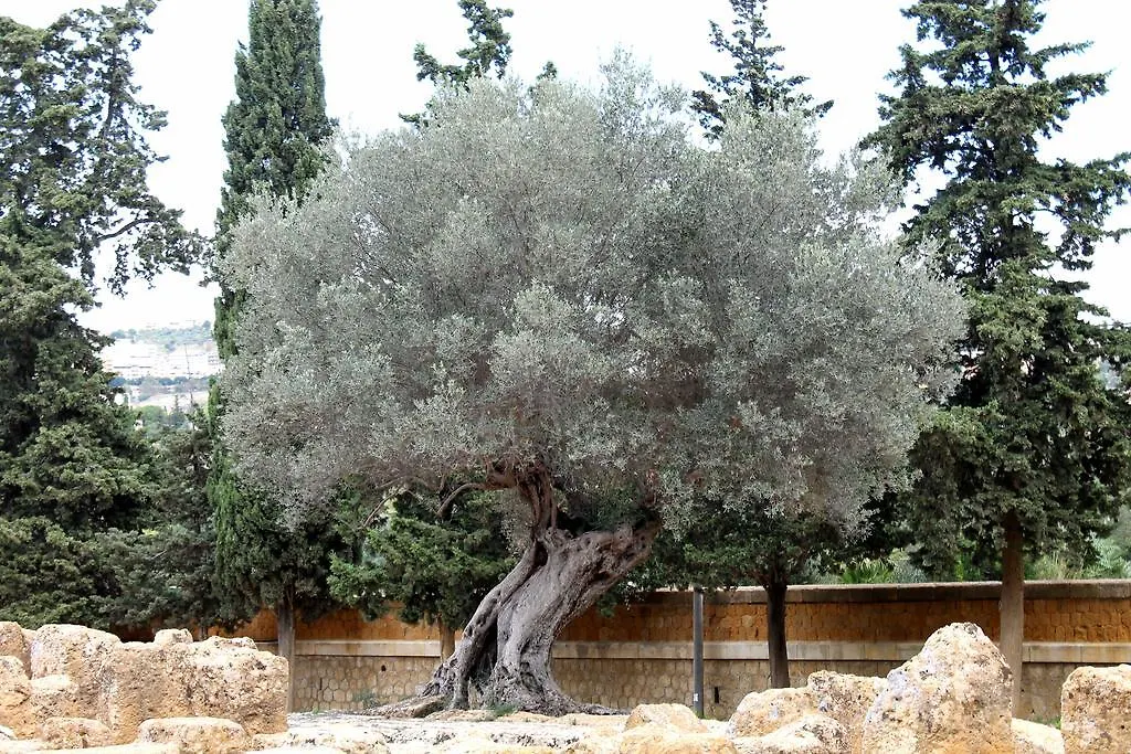 Appartamento Casa Vistosa Agrigento
