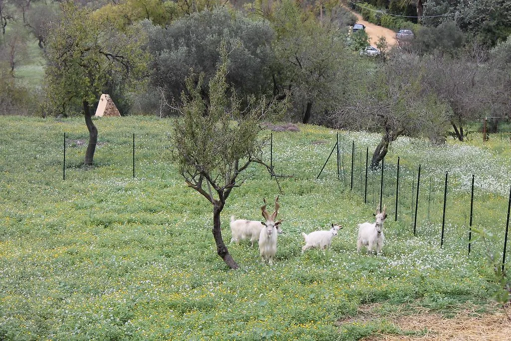 Casa Vistosa Agrigento Lägenhet